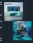  22 75 Scott Value - 2020 Antigua Manatees 2 S s West Indian Cv Mnh Nh Umm