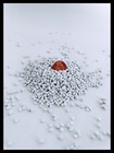 19 Lbs Plastic Poly Pellets Cornhole Bags Weighted Blankets Heavy White  
