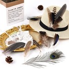 Natural Feathers Bulk - 55pcs - 6 Styles Assorted Natural Feathers  Peacock Feat