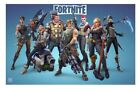 Fortnite Heroes Game Poster
