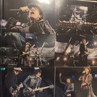 Album Lot Of 93 Rolling Stones Photos Live In Concert  Louisville Ky  2006