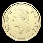 2026 Canada  1 Lucky Loonie     Uncirculated Coin From Roll         