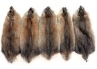 1 - Tanned Midwestern Muskrat Pelt-various Grades  12 -14  Length