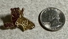 Vintage Canada Beaver Canadian Flag Travel Souvenir Pin  g 