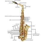 Ktaxon School Professional Paint Gold Alto Eb Sax Saxophone For Student