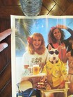 1988 Budweiser Club Spuds Mackenzie Poster Beer 14x17 Vintage Original