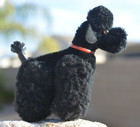Vintage 50 s Steiff Snobby Black Poodle 4436 10 10cm Original Owner No Tag Buttn