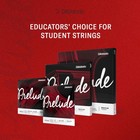 D addario Prelude Violin D String 1 4 Scale Solid Steel Core Warm Tone Durable