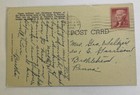 Vintage Linen Postcard   View Of Poinsettias In Bloom  florida Fl