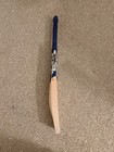 Dsc Grade 1 English Willow Cricket Bat