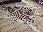 Zebra Hide    Skin - A Large A Grade South African Burchell Zebra Hide