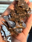 52 8grams Sericho Pallasite Meteorite Slice