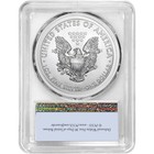 1 Oz American Silver Eagle Ms70  random Year  Varied Label  Pcgs Or Ngc 