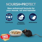 Kaytee Forti-diet Mouse Rat Hamster Food Pro Health 20lb
