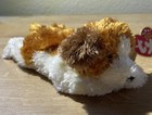 Ty Beanie Baby - Sampson The Dog  7 5 Inch 
