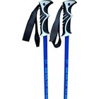 Defiance Ski Poles - 2025