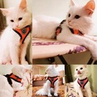 Cat Harness Vest Walking Lead Leash For Puppy Dogs Collar Polyester Adjustable M