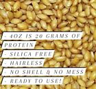  skinless   dehulled  Canary Seed Alpiste Silica Fiber Free Hairless 1 Pound
