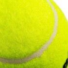 Franklin Sports Practice Tennis Balls Can - 3pk