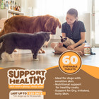 Skin And Coat Supplement With Fish Oil For Dogs   Cats  Dog Itch Relief  omega 3