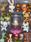 Littlest Pet Shop First 1-100  you Pick  Lps Dog  Cat  Fish  Rabbit  Pig  Bird