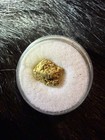 Alaska Natural Gold Nugget 1 5g Gold 