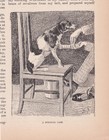Veternarian Treating Dog s Injured Paw Veterinary Antique Print 1892