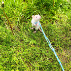3 Pack Adjustable Hamster Leash Harness For Chinchilla Rabbit Hamster Guinea Pig