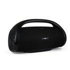 Portable Party Fol Speakers Bluetooth Rechargeable Black 2 4  2 0 5  60w