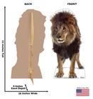 African Lion Lifesize Cardboard Standup Standee Cutout Poster Figure Display