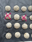 Authentic Sea Biscuit Fossilized Echnoderms Holden Beach North Carolina  Pick