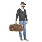 Garden Elements Long Leaf Pine Straw Bale  1  Depth Covers 70 Sq Ft