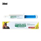 1-3pcs Horse Dewormer Paste     Apple Flavour 6 08g 1 87  Equine Worming Treatme