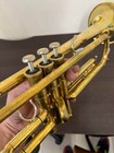 Yamaha Trumpet Ytr-636 W case