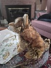 Ganz Webkinz Signature Endangered Red Wolf Plush No Code