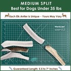 Medium Split Elk Antler Dog Chews 2pack  Natural Dental Treats For Small Dogs
