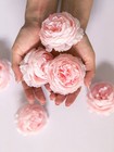 12 24pcs Artificial Peony Flowers W  Stems Wedding Home Table Decor