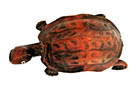 Vintage Hand Carved Wood Turtle Tortoise Figurine With Glass Eyes  6  Long