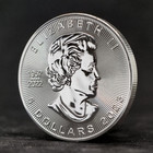      1 Oz 2023 Canadian Silver Maple Leaf Brilliant Uncirculated  bu  Coin  us      