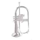New Jhf-846r Gold Lacquer With Case Profession Bb Yellow Brass Bell Flugelhorns