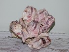 Large 8x6  Natural Barnacle Cluster Specimen Aquarian Purple Pink 3 5 Lbs