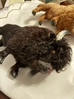 Needle Felted Wool Bison    