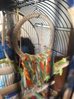 Pet Bird Cotton Rope Swing Ring - Hanging Perch   Chew Toy For Parrot Budgie S l