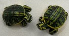Land   Sea Collectibles Nature Series 2 Mini Turtle Figurines 1999 Nwt
