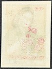 Vintage Flower Woman Safety Matches Matchbox Label Card  size 1 5  x2   
