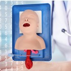 Intubation Manikin For Baby Airway Management Training Model