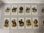 Vtg Full Set Tea Cigarette Cards Drum Horses  32 Cards  Excellent - Reprint 2000