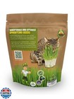 Todd   s Seeds     Cat Grass For Indoor Cats  1lb Wheatgrass     Premium  Non-gmo  