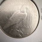 1923 Peace Silver Dollar  1 90  Silver San Francisco    mint Mark