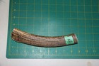 Medium Upper Elk Antler Dog Chew  8   Bone Chews Moose Treats Deer 1011